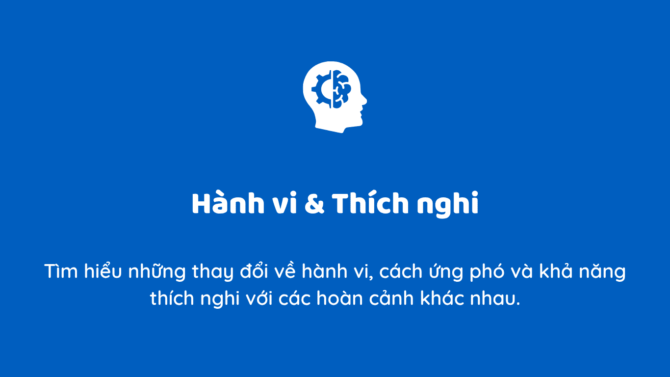 Dịch vụ 1.2